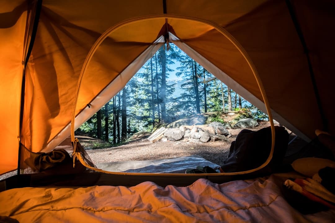 A campsite in the forest